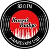 Karesi Radyo